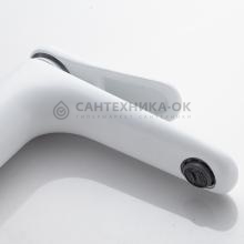 Смеситель для раковины Shevanik S4701C