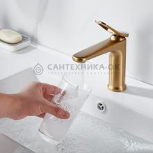 Смеситель для раковины Shevanik S4701G