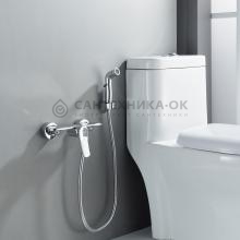 Смеситель с гигиеническим душем Shevanik S4705-1