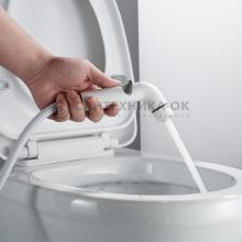 Смеситель с гигиеническим душем Shevanik S4705C-1