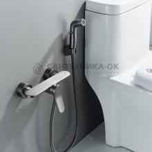Смеситель с гигиеническим душем Shevanik S4705T-1