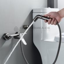 Смеситель с гигиеническим душем Shevanik S4705T-1