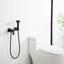 Смеситель с гигиеническим душем Frap F7591-6