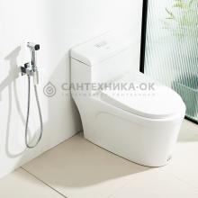 Смеситель с гигиеническим душем Frap F7591-2
