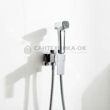 Смеситель с гигиеническим душем Frap F7591-2