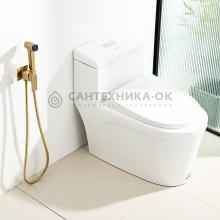 Смеситель с гигиеническим душем Frap F7591-23