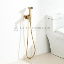 Смеситель с гигиеническим душем Frap F7591-23