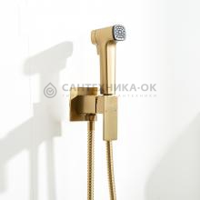 Смеситель с гигиеническим душем Frap F7591-23