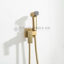 Смеситель с гигиеническим душем Frap F7591-23