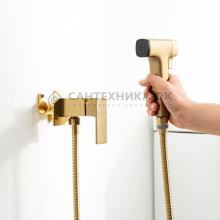 Смеситель с гигиеническим душем Frap F7591-23