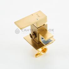 Смеситель с гигиеническим душем Frap F7591-23