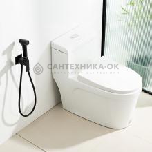 Смеситель с гигиеническим душем Frap F7591-26