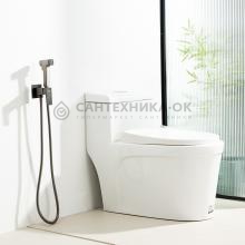 Смеситель с гигиеническим душем Frap F7591-29