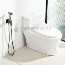 Смеситель с гигиеническим душем Frap F7591-29