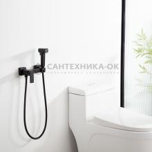 Смеситель с гигиеническим душем Frap F7591-6