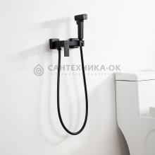 Смеситель с гигиеническим душем Frap F7591-6