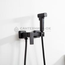 Смеситель с гигиеническим душем Frap F7591-6