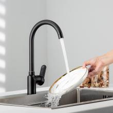 Смеситель для кухни Frud R42157-6