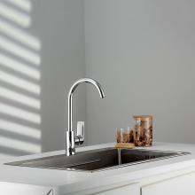 Смеситель для кухни Frud R42158
