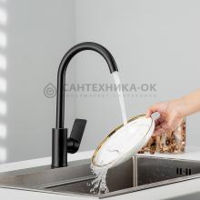 Смеситель для кухни Frud R42158-6