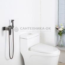 Смеситель с гигиеническим душем Gappo G2007-9