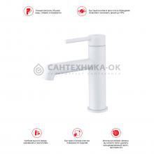 Смеситель для раковины Raglo R20.10.08