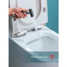 Смеситель с гигиеническим душем Raglo R07.52.09