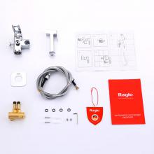Смеситель с гигиеническим душем Raglo R51.52