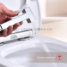 Смеситель с гигиеническим душем Raglo R51.51