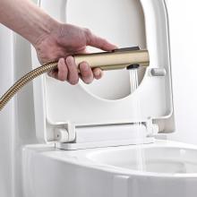 Смеситель с гигиеническим душем Rose R1805G-1