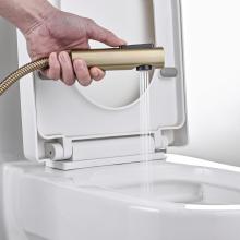 Смеситель с гигиеническим душем Rose R1805G-1