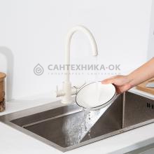 Смеситель для кухни Frap F43899-41