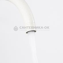 Смеситель для кухни Frap F43899-48