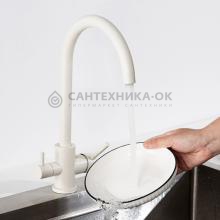 Смеситель для кухни Frap F43899-48