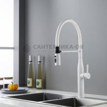 Смеситель для кухни Shevanik S123C-1