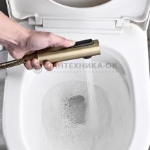 Смеситель с гигиеническим душем Rose R1805G-1