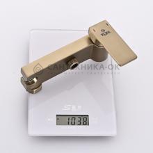Смеситель с гигиеническим душем Rose R1805G-1