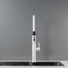 Смеситель для кухни Shevanik S123C-1