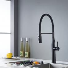 Смеситель для кухни Shevanik S123H-3