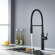 Смеситель для кухни Shevanik S123H-3