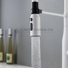 Смеситель для кухни Shevanik S123C-1