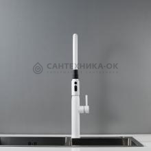 Смеситель для кухни Shevanik S123C-1