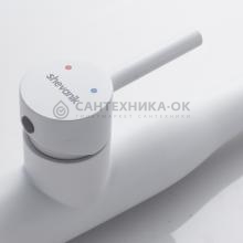 Смеситель для кухни Shevanik S123C-1