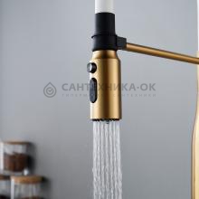 Смеситель для кухни Shevanik S123G-1