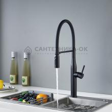 Смеситель для кухни Shevanik S123H-3