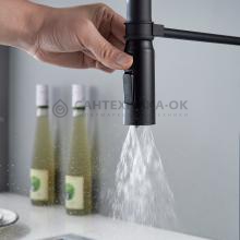 Смеситель для кухни Shevanik S123H-3
