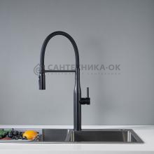 Смеситель для кухни Shevanik S123H-3