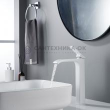 Смеситель для раковины Shevanik S4011C