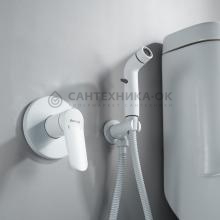 Смеситель с гигиеническим душем Shevanik S4305C