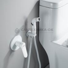 Смеситель с гигиеническим душем Shevanik S4305C